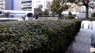 未成年禁入,成人a∨视频在线观看,海量高清AV在线看